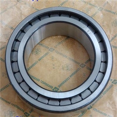 SL183010 Visas komplektas ritininis guolis