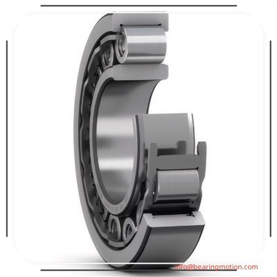 NU 2308 ECJ ritininis guolis